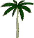 palmtree.gif (4445 bytes)
